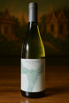 White Wine (Bottle 750ml)