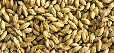 MARIS OTTER per kg