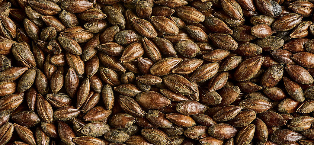 CHOCOLATE MALT per kg