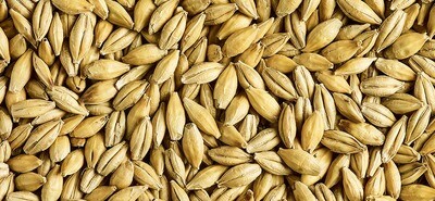 DEXTRIN MALT per kg