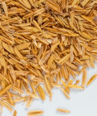 RICE HULLS per KG