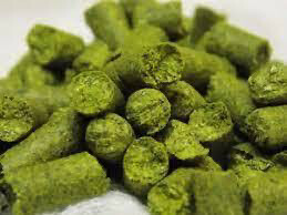 East Kent Goldings - 100g