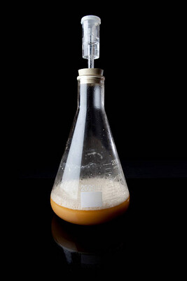 YEAST