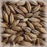 Pale Ale Malt per Kg