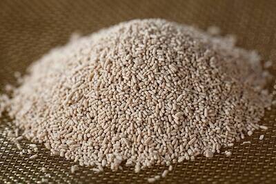 DRY YEAST