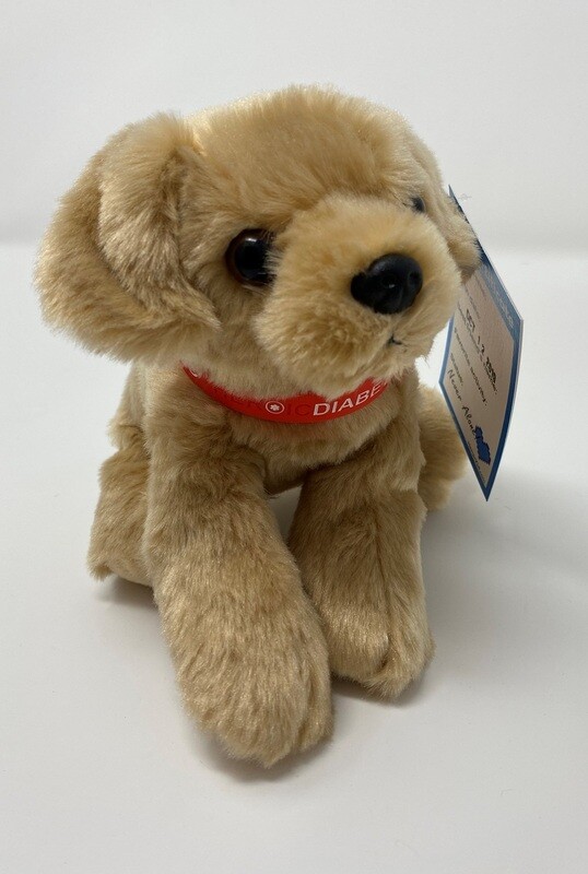 TAN - T1D Band Buddy