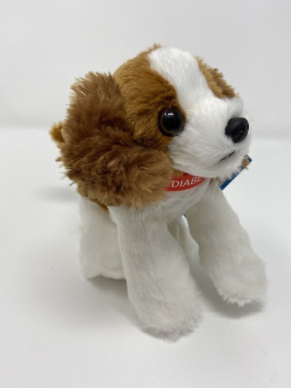 AMBER &amp; WHITE - T1D Band Buddy