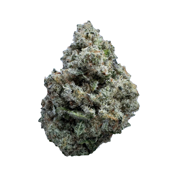 THC FLOWER BLIZZARD OF OZ
