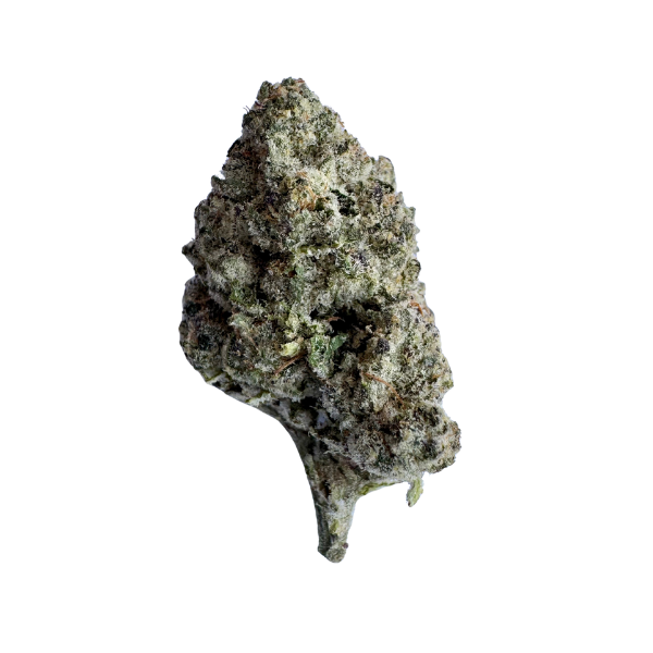 THC FLOWER BLACKBERRY PANACOTTA