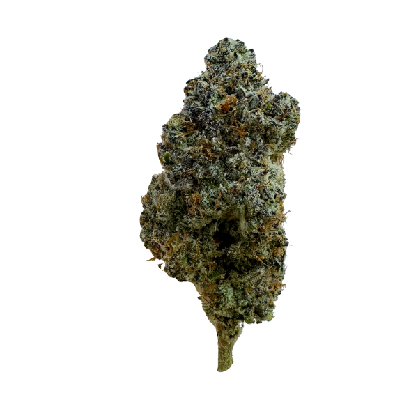 THC INDOOR FLOWER SHERB 7