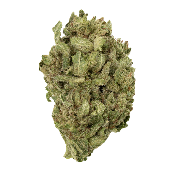 THC INDOOR FLOWER GORILLA GLUE