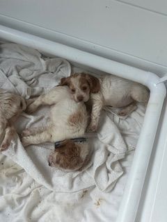 Karma ?