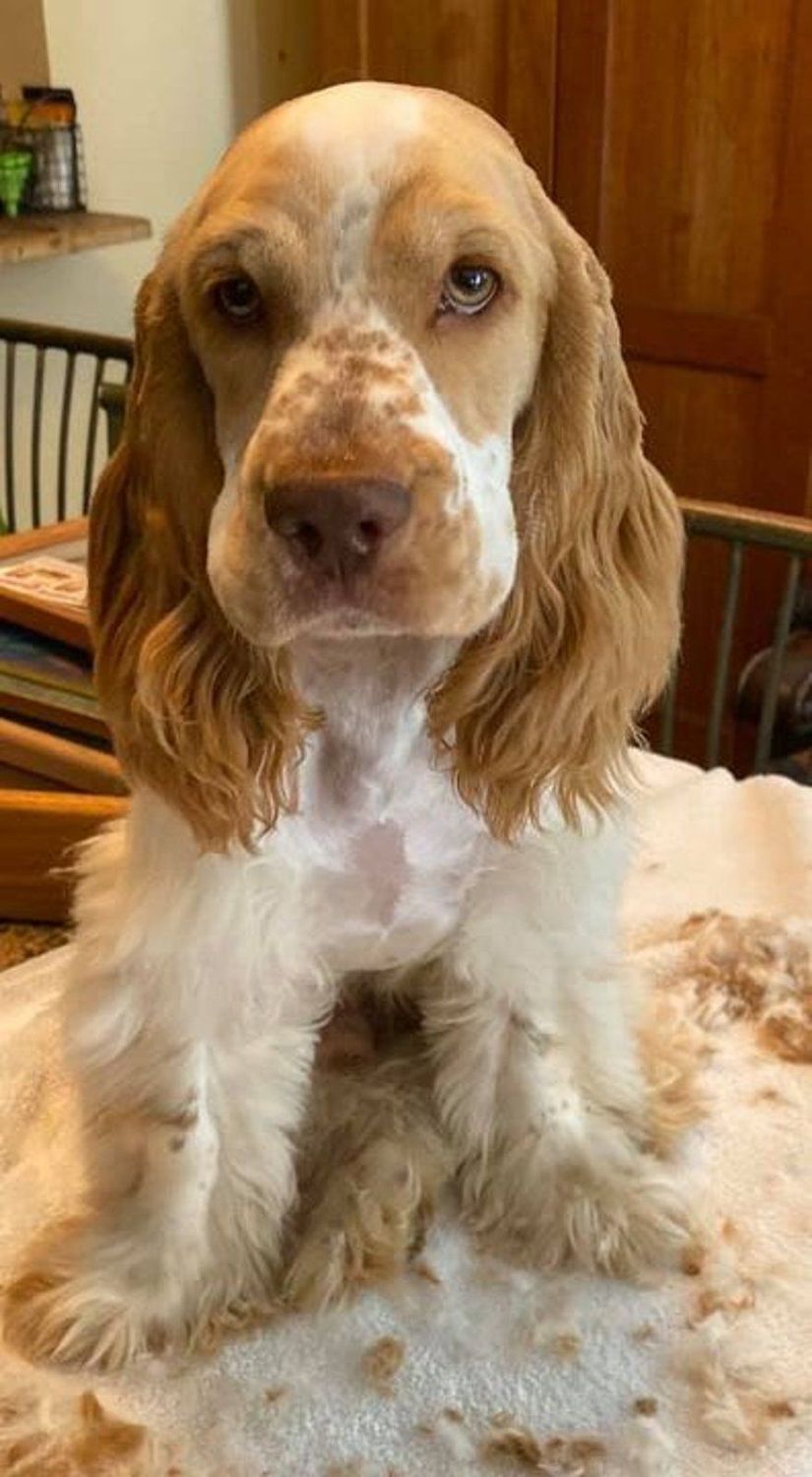 Bailey