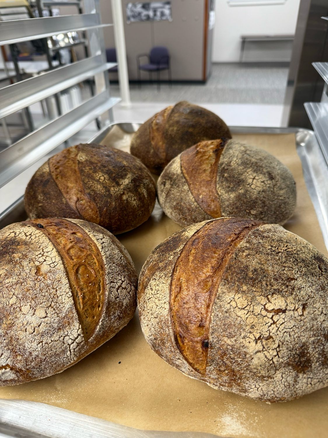 Monthly Country Loaf: Black Emmer And Toasted Spelt