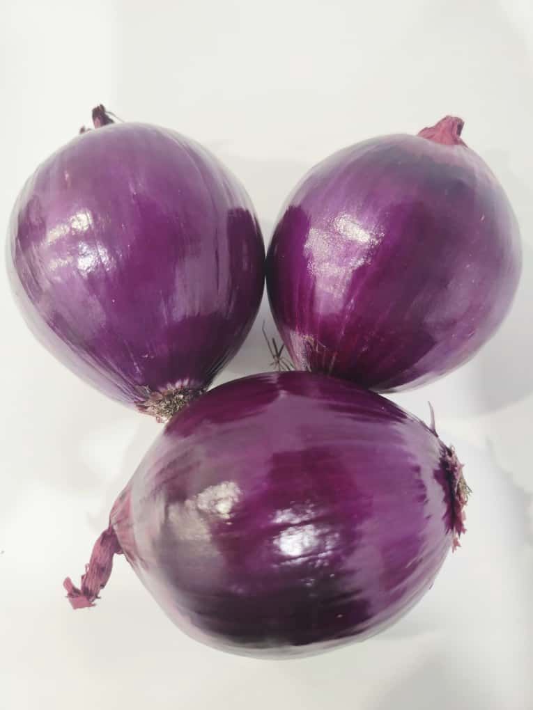 Onion (Purple)