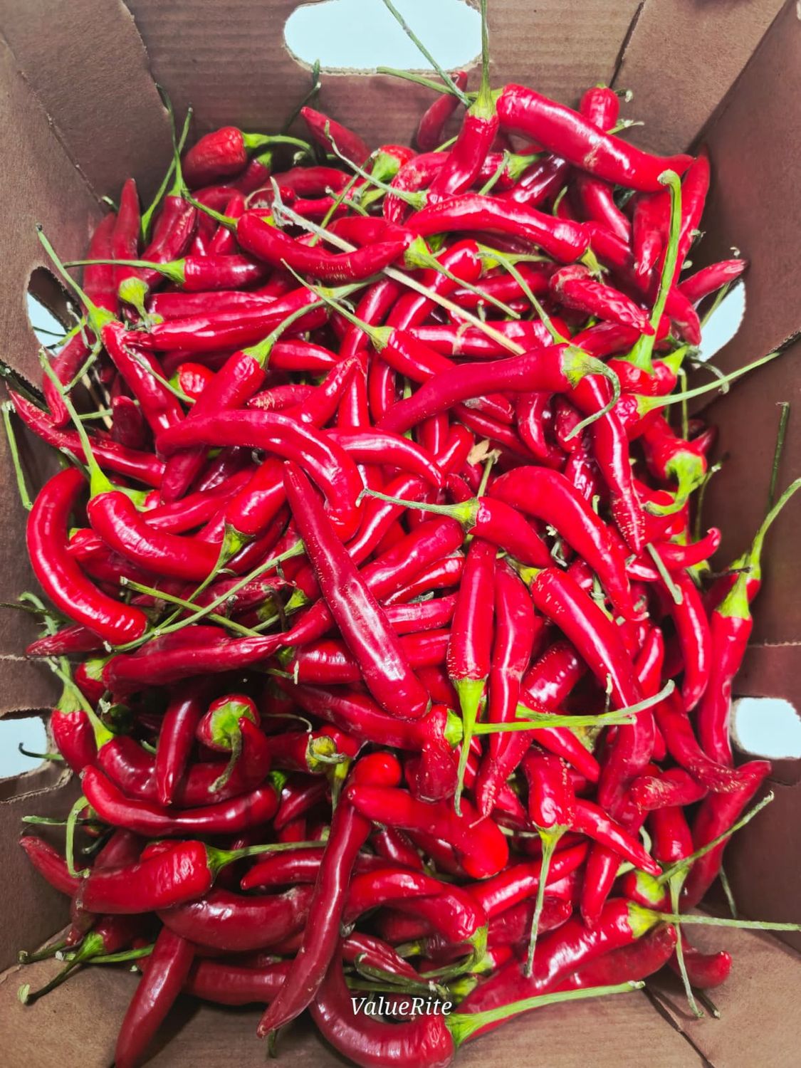 Cayenne Pepper (Bawa)