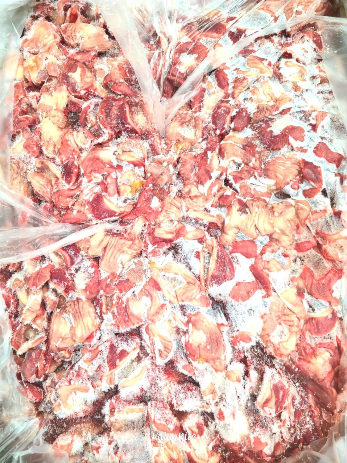 Chicken Gizzard - Frozen
