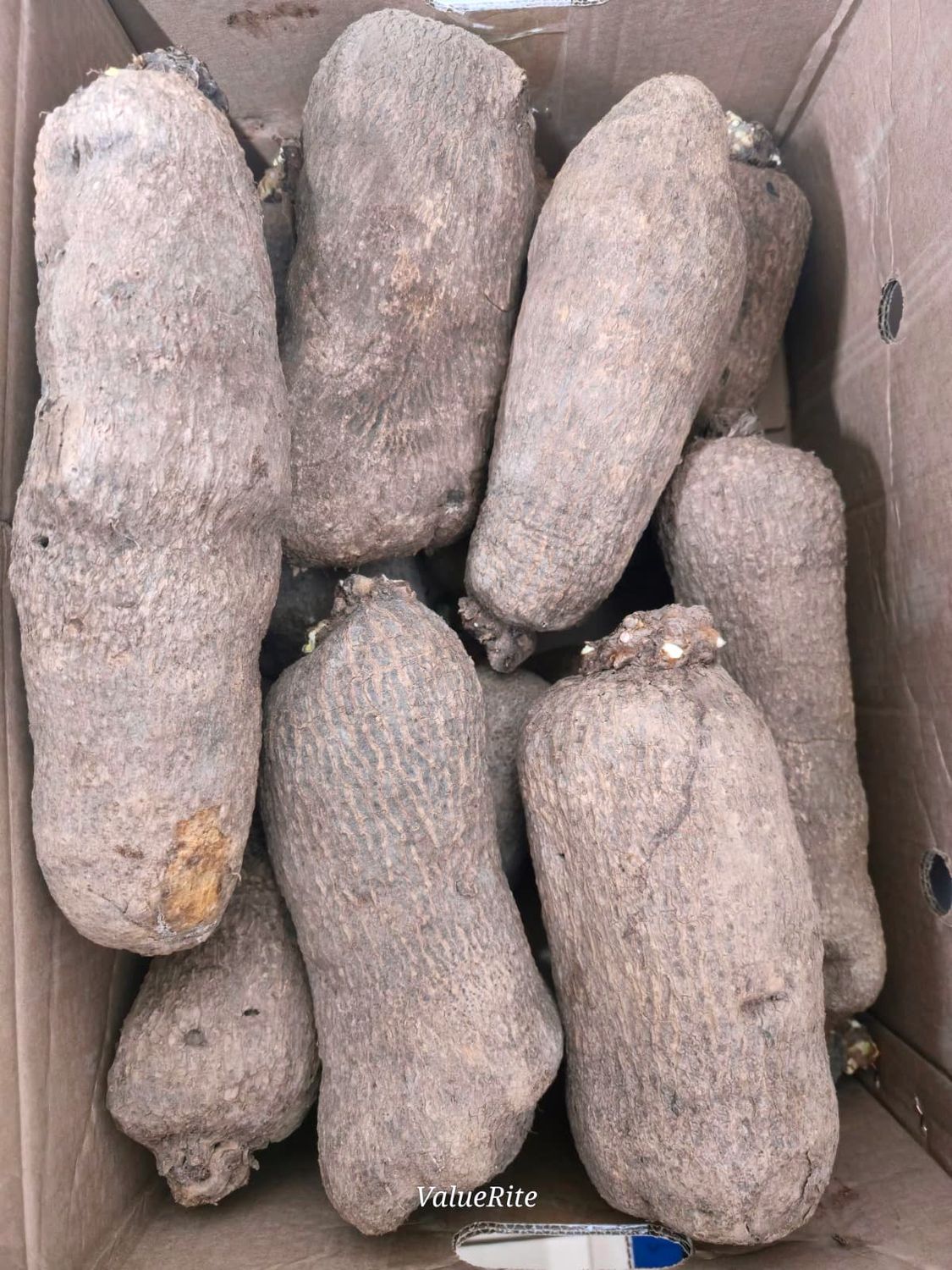 Yam (Fresh) Old Yam