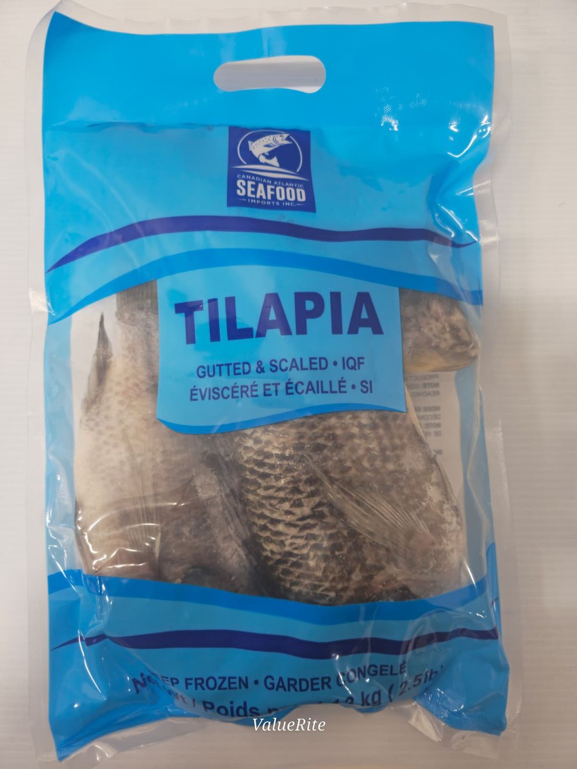 Tilapia Fish - Frozen