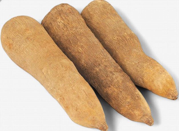 Yam (Fresh) New Yam