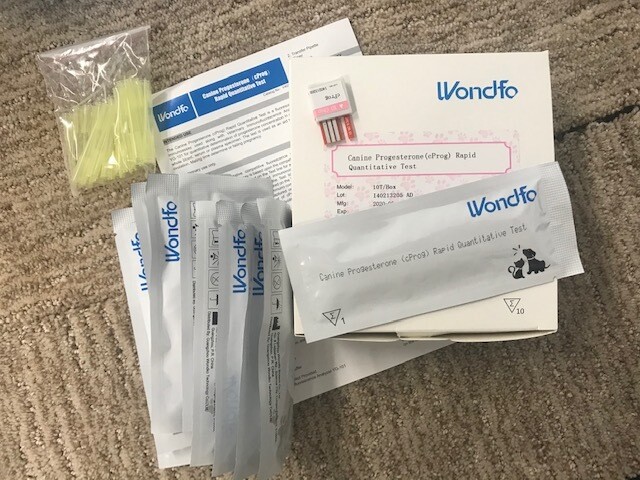 10 Progesterone Tests 10 Progesterone Tests