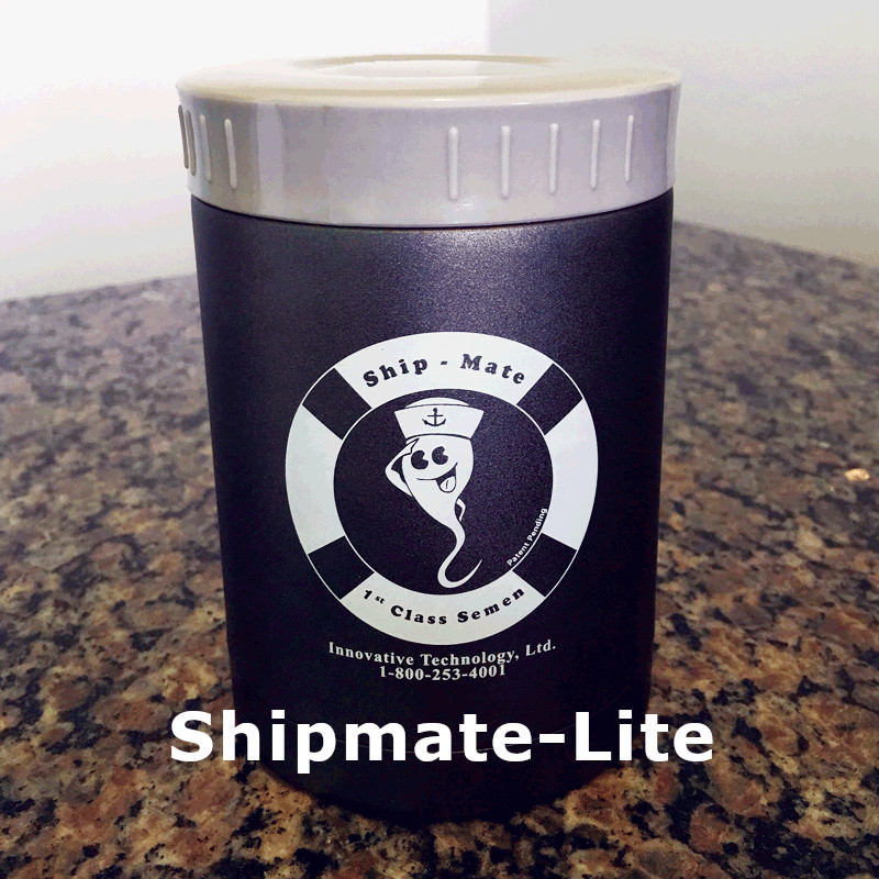 Shipmate Shipmate