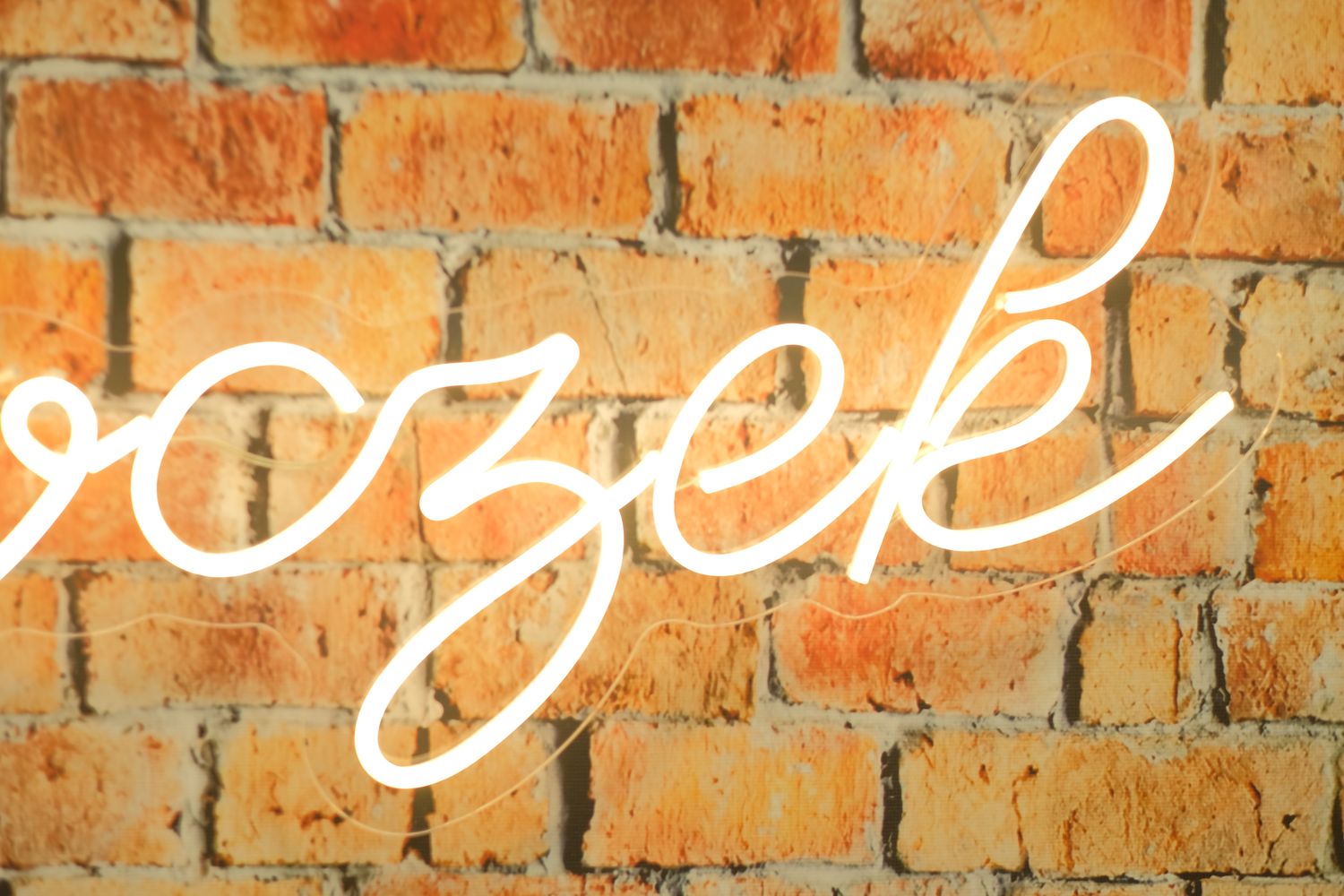 Neon Roczek