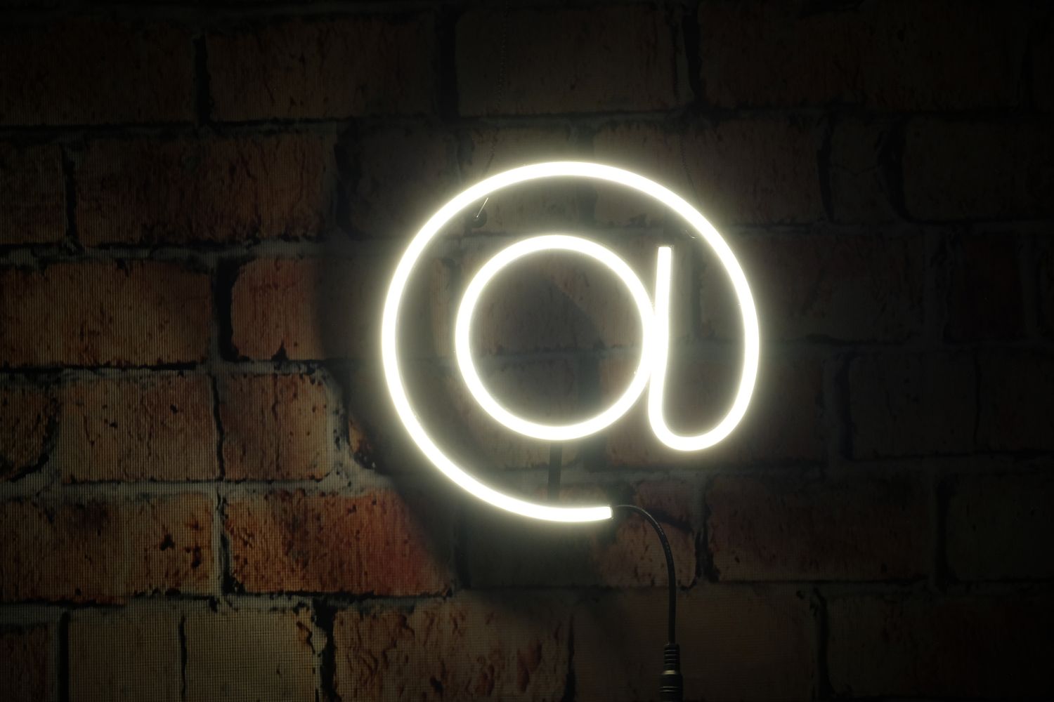 Neon &quot;Małpa&quot; AT
