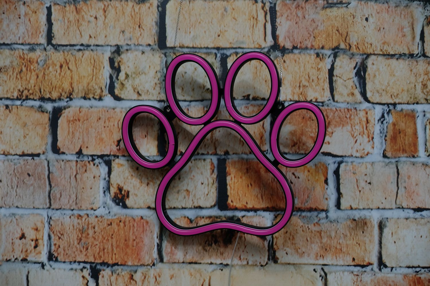 Neon Łapka