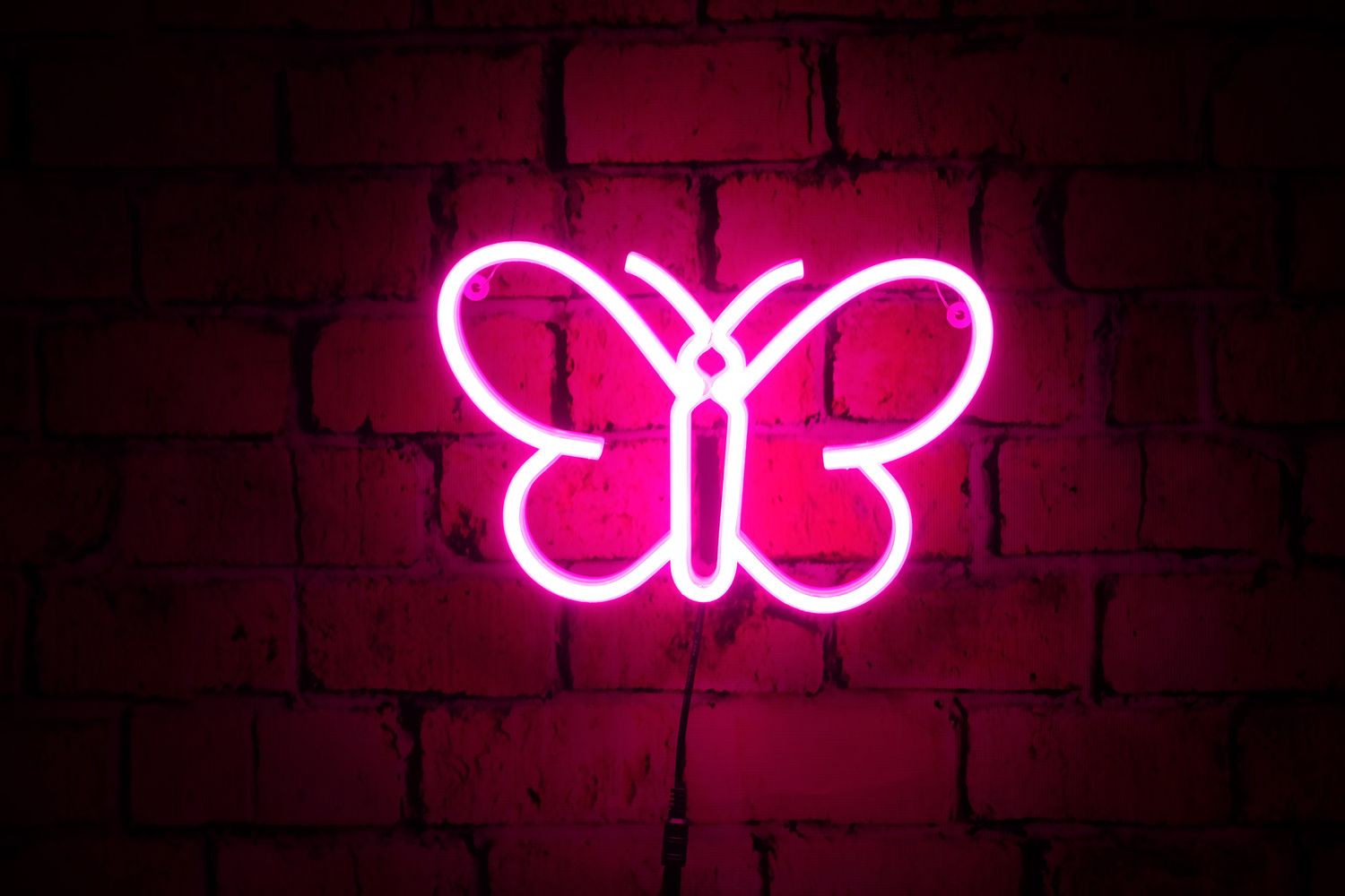 Neon Motylek