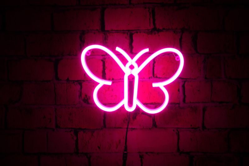 Neon Motylek
