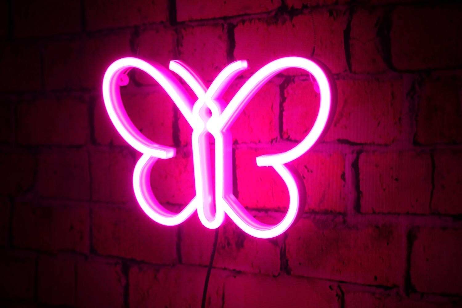 Neon Motylek