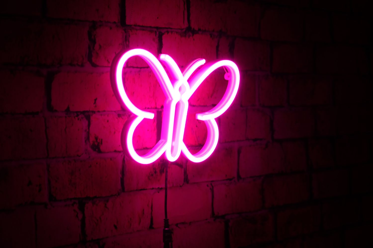 Neon Motylek