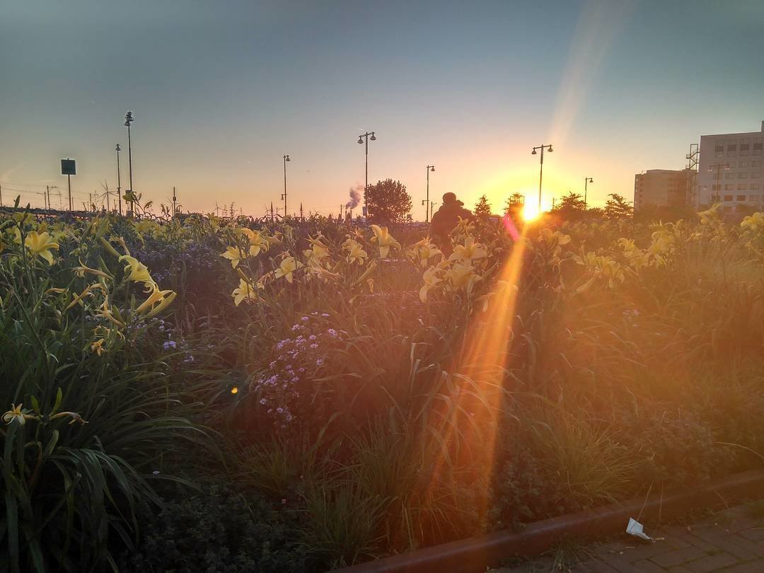 Paquete Básico Plus