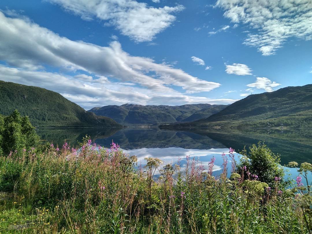 Paquete Grupos Premium