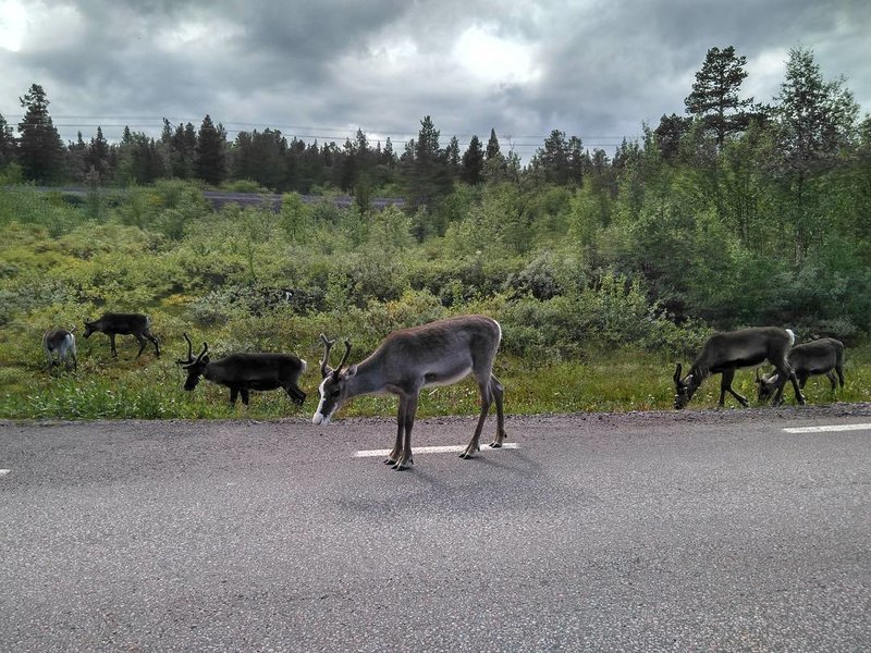 Libro en pdf personalizado (viajes largos)