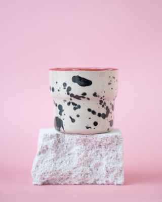 Czarka Dalmatyńczyk - czerwona