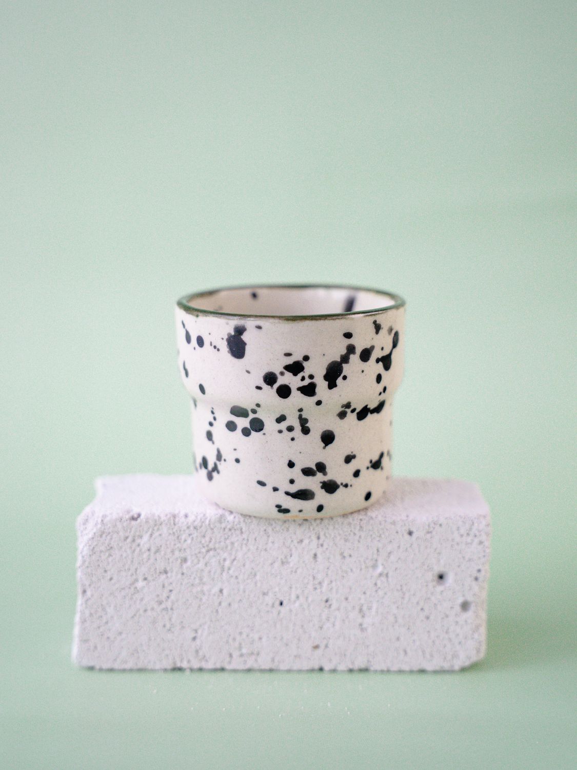 Czarka Dalmatyńczyk - oliwkowa