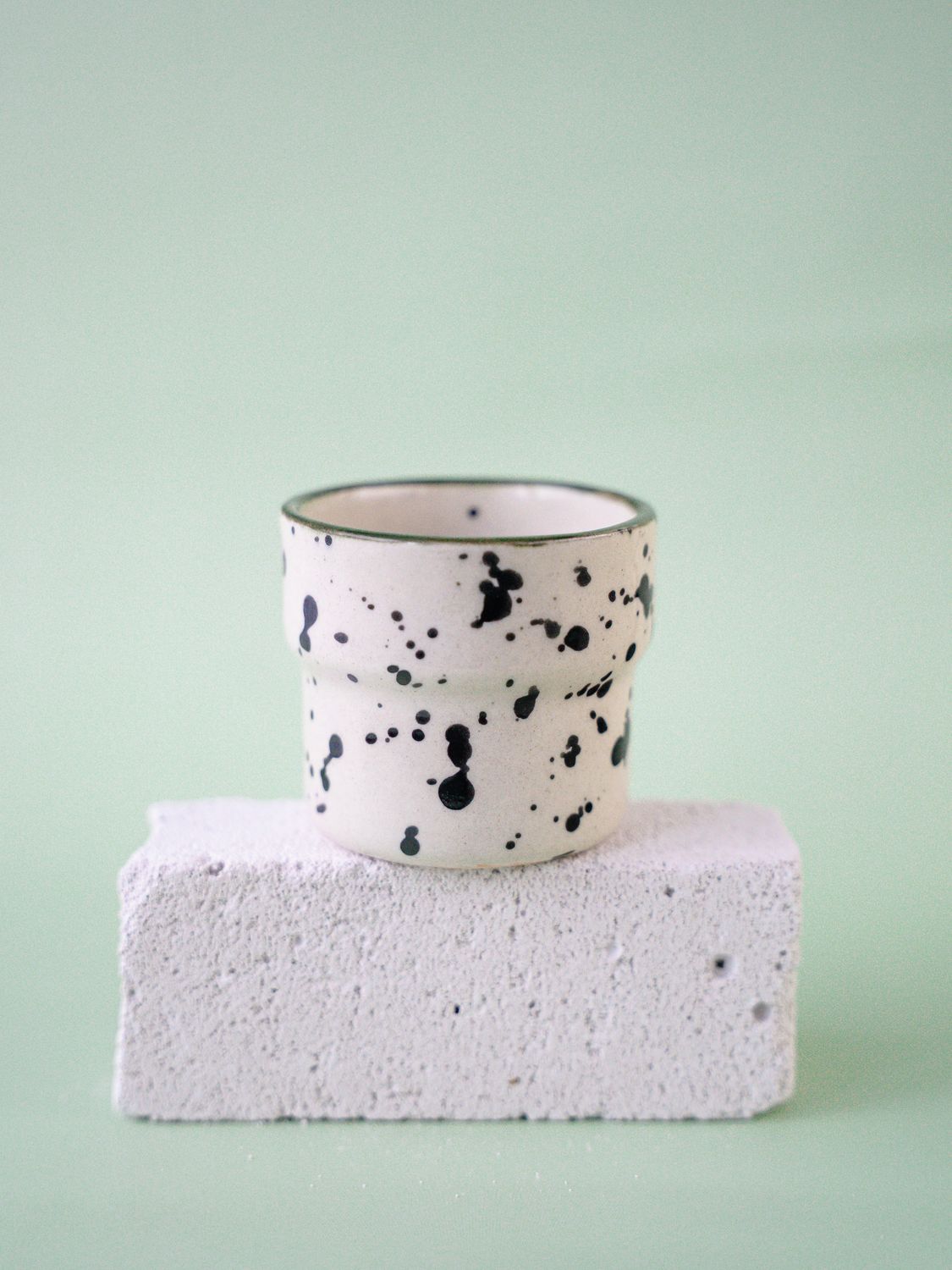 Czarka Dalmatyńczyk - oliwkowa