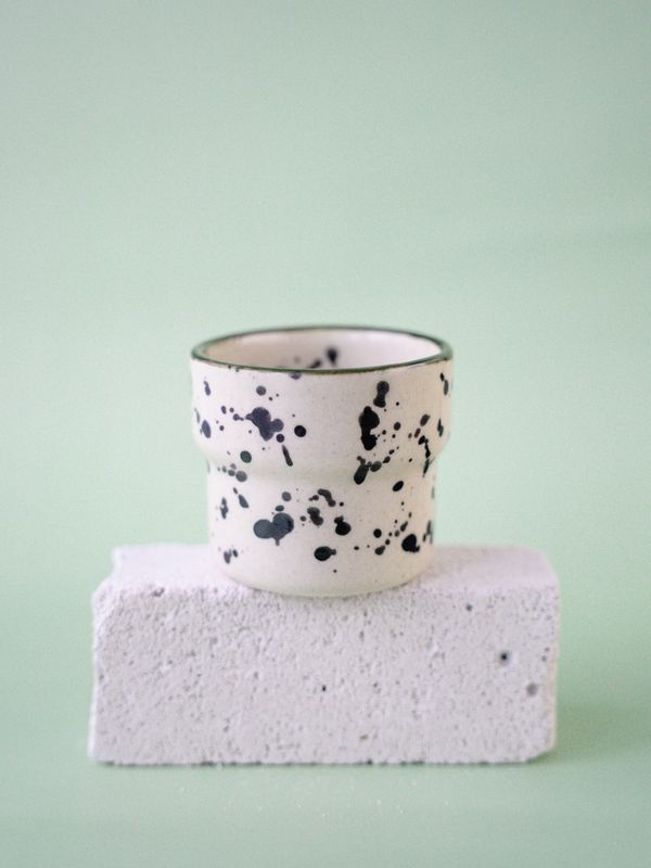 Czarka Dalmatyńczyk - oliwkowa