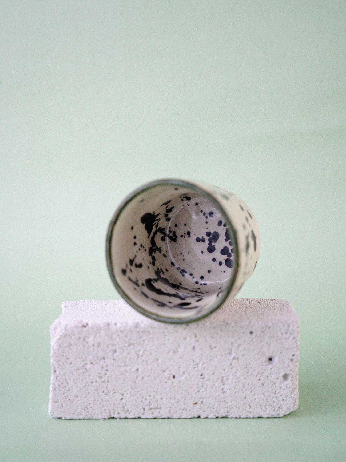 Czarka Dalmatyńczyk - oliwkowa