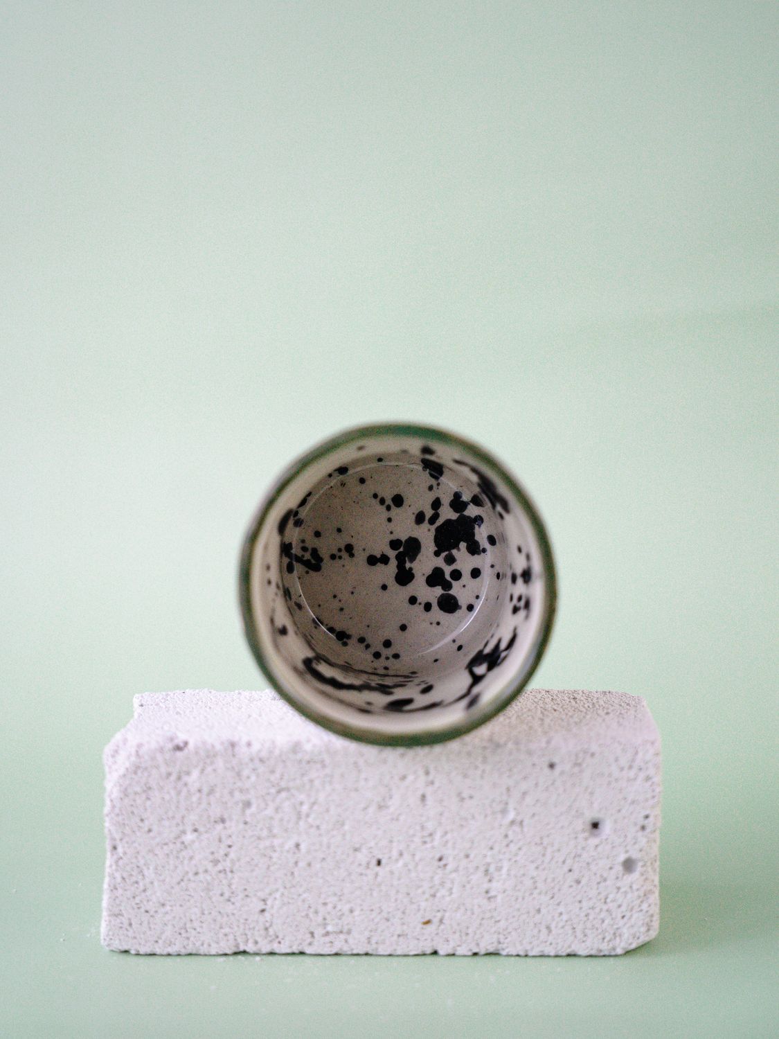 Czarka Dalmatyńczyk - oliwkowa