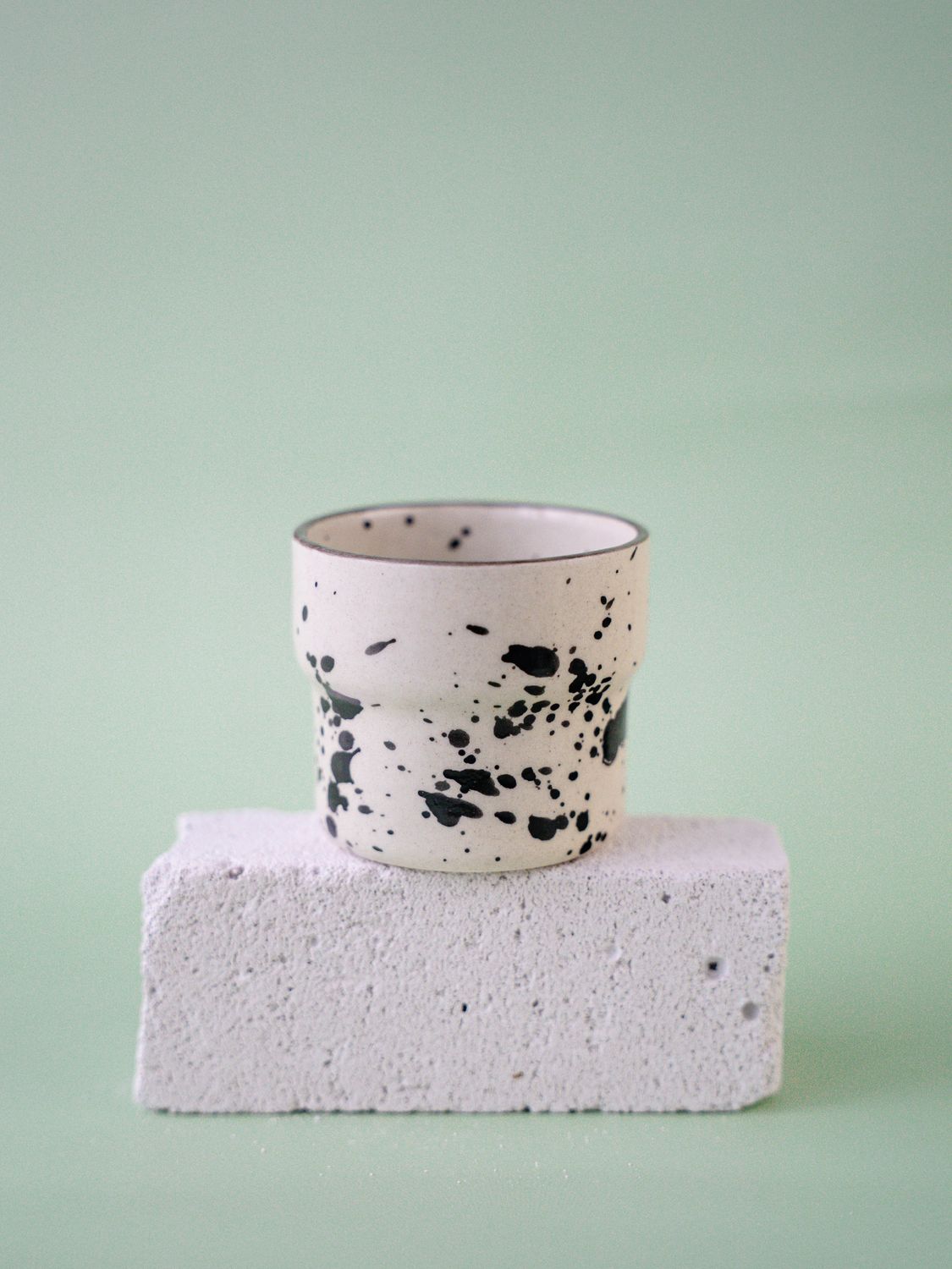 Czarka Dalmatyńczyk - szara