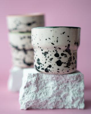 Czarka Dalmatyńczyk - morska zieleń