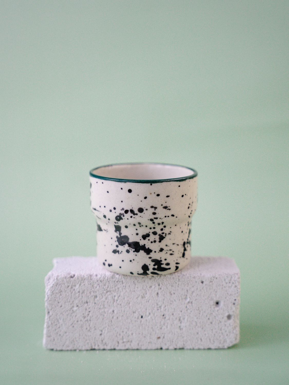 Czarka Dalmatyńczyk - morska zieleń