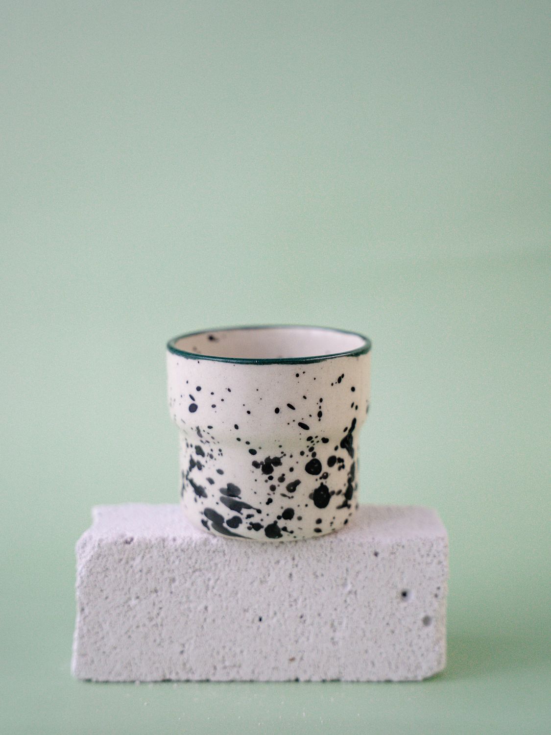 Czarka Dalmatyńczyk - morska zieleń