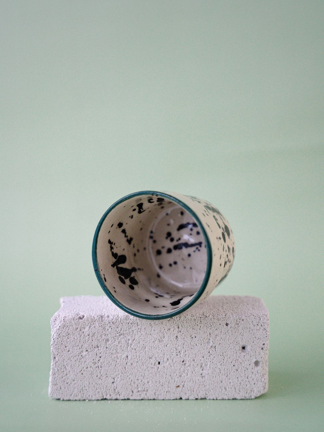 Czarka Dalmatyńczyk - morska zieleń