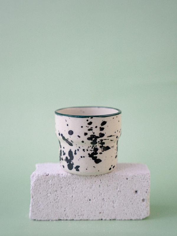 Czarka Dalmatyńczyk - morska zieleń