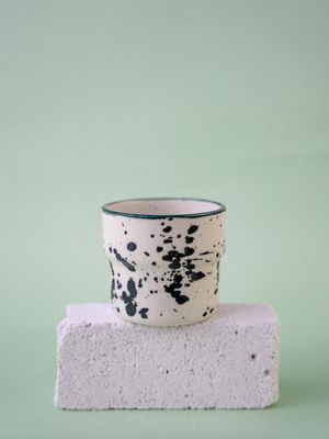 Czarka Dalmatyńczyk - morska zieleń