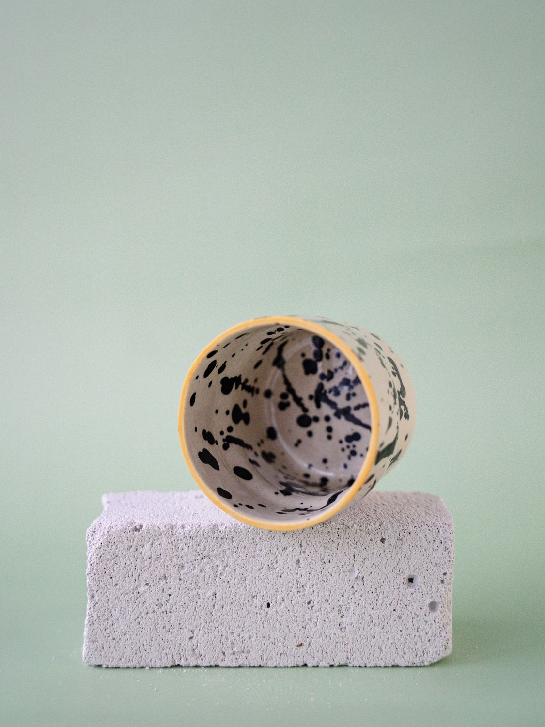 Czarka Dalmatyńczyk - miodowa